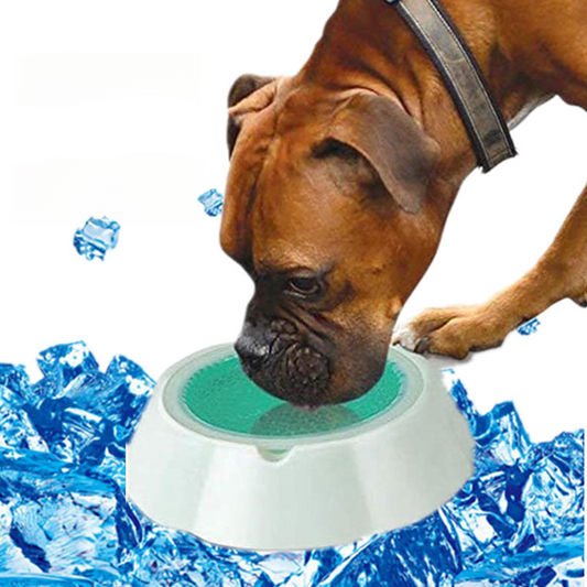 Boxer dog drinking from white cooling pet bowl with green and teal honeycomb gel insert surrounded by blue ice cubes on white background