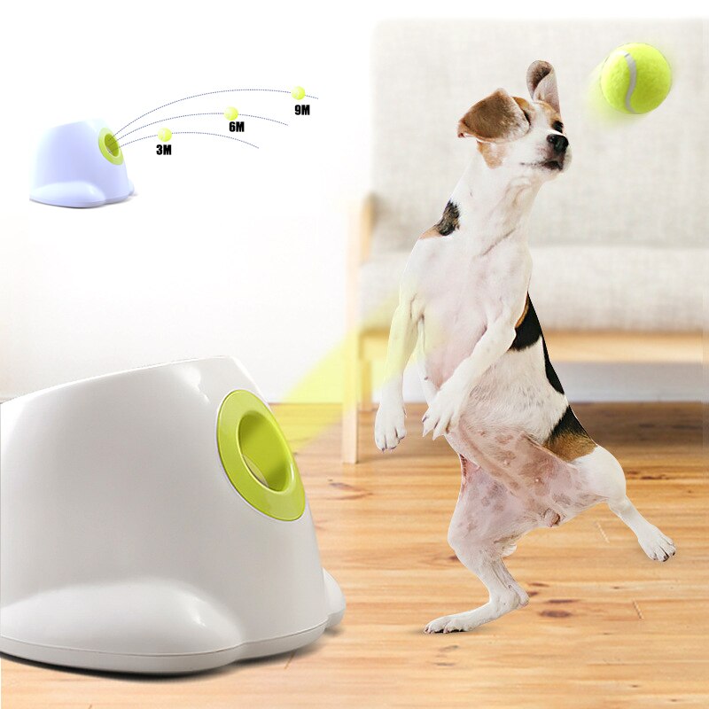 Dog playing with a toy that throws a ball, with a dog in the background.