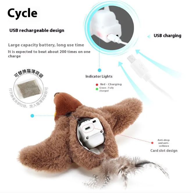 USB rechargeable cat toy with charging cable and features highlighted on a white background