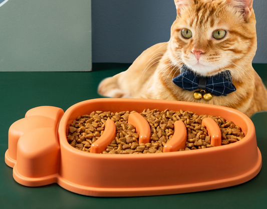 Orange carrot-shaped slow feeder bowl filled with dry cat food, with tabby cat wearing bow tie in background
