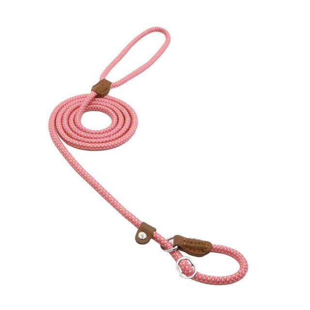 Pink dog leash with brown leather ends on a white background