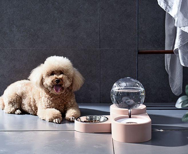 Fluffy dog beside pink automatic pet water and food bowl set with clear globe water reservoir