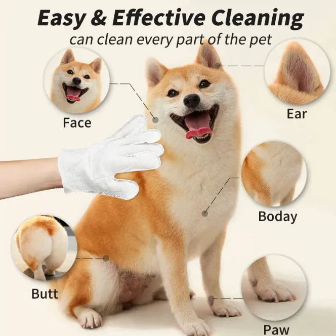 Dog being cleaned with a glove, highlighting cleaning areas like face, ear, body, butt, and paw.